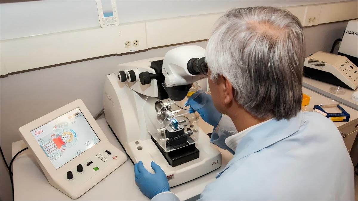 X-ray fluorescence spectrometer
